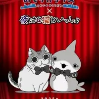 Постер аниме Прогулки маленькой акулы и Вечера с кошкой: Урок хороших манер