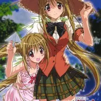 Постер аниме Какюсэй 2: Девочки в младших классах